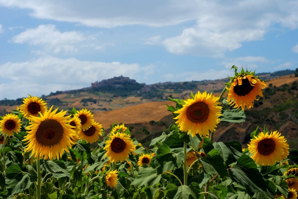 bike touring italy