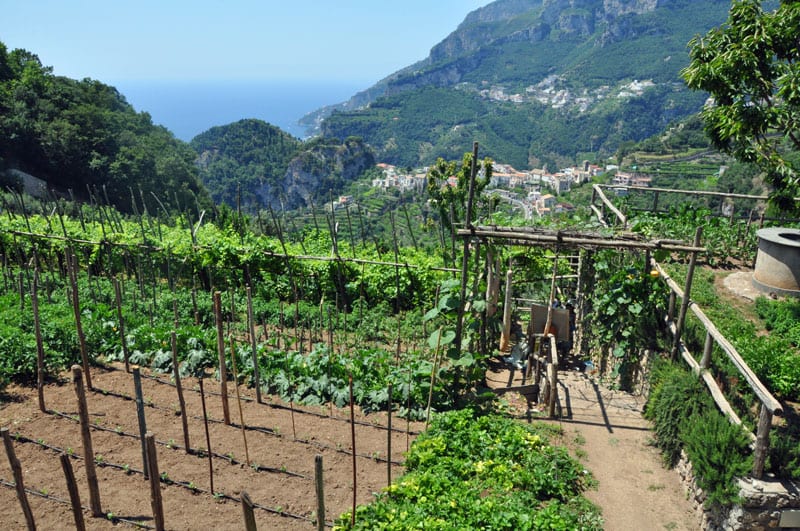 Countryside Of Italy