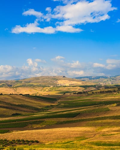 Best books in Italy Sicilian countryside