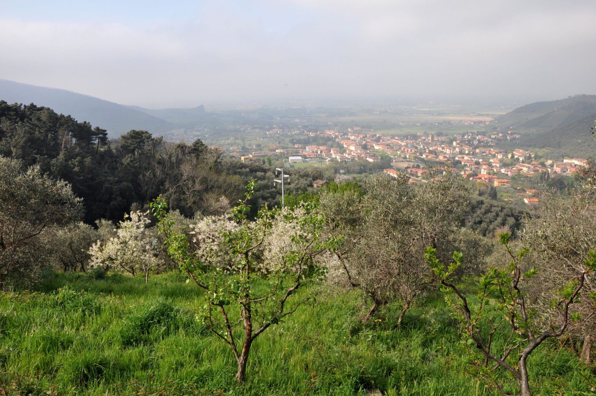 From a farmstay in Tuscany