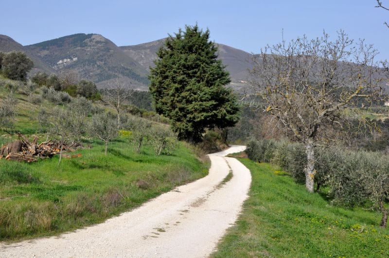 Dirt road to an agriturismo in Italy Roads in Italy's countryside can be difficult!