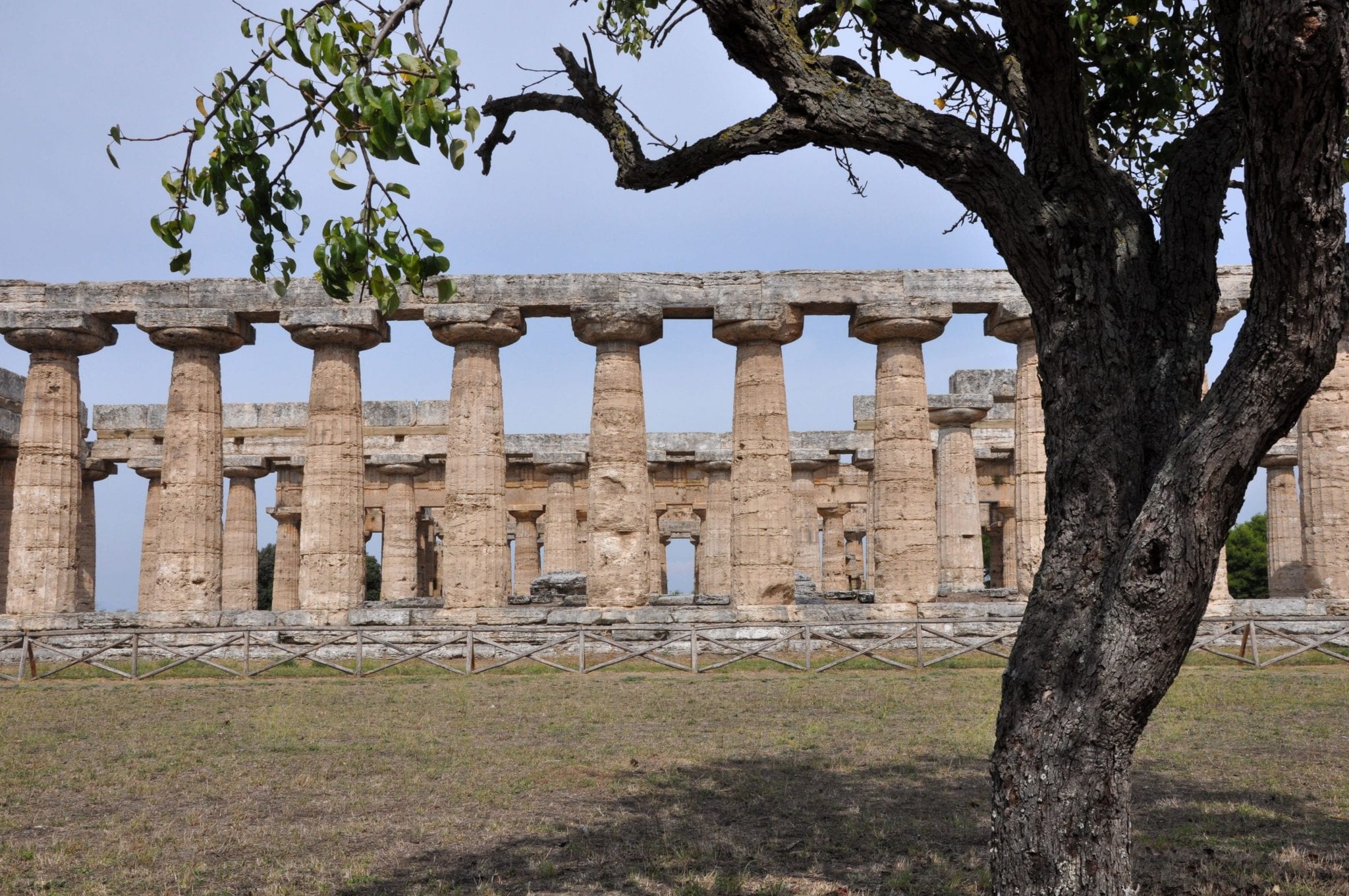 Ancient ruins in Paestum, Italy