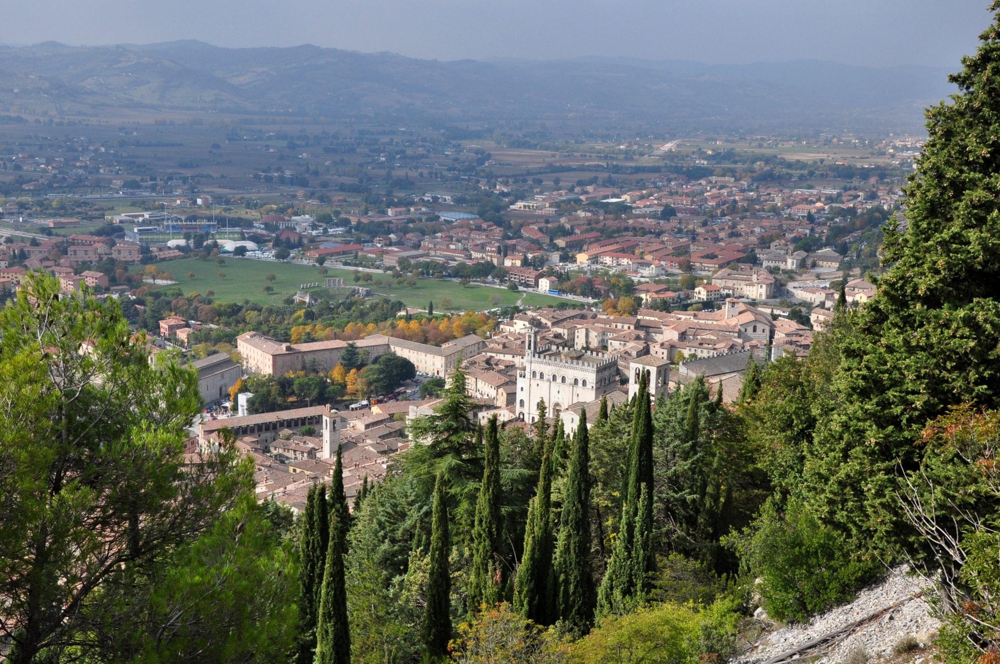 Town that hosted the white truffle festival