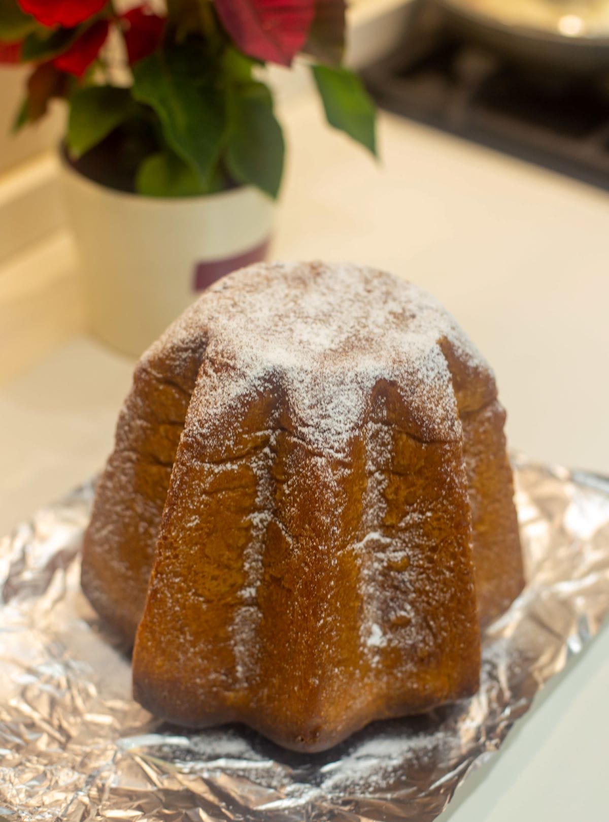 freshly dusted pandoro with powdered sugar. 