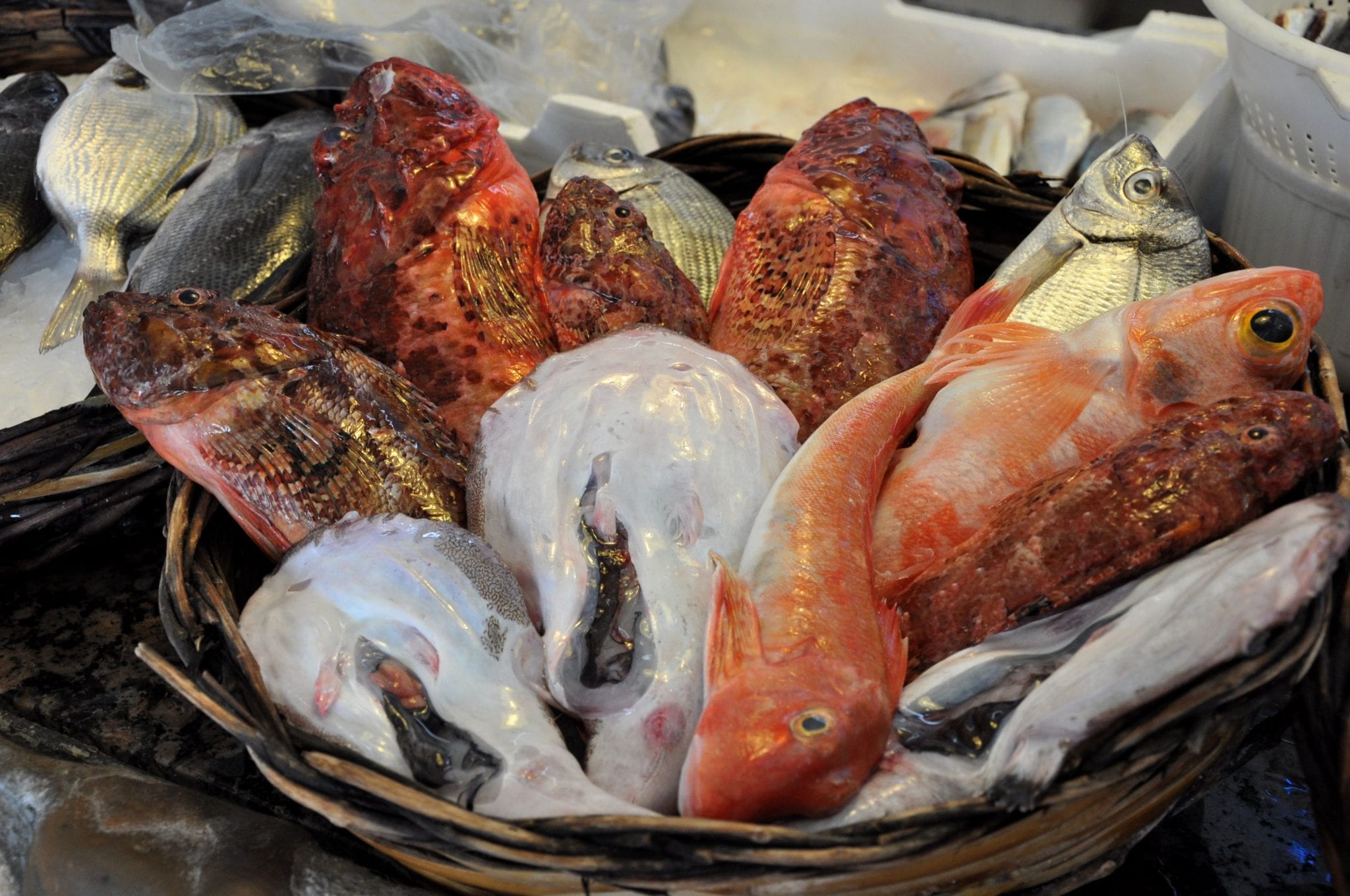 A basket of fresh fish at a fish market. Many colours of silver, white, coral and orange of these full fish with heads and fins.