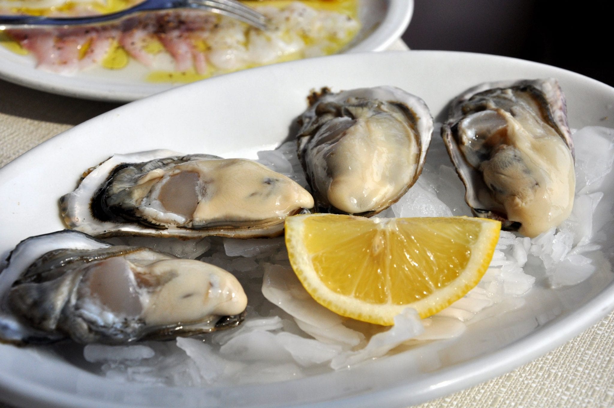 Shellfish, very popular in Italy on Christmas Eve