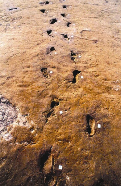 Prehistoric site at Nola, near Vesuvius
