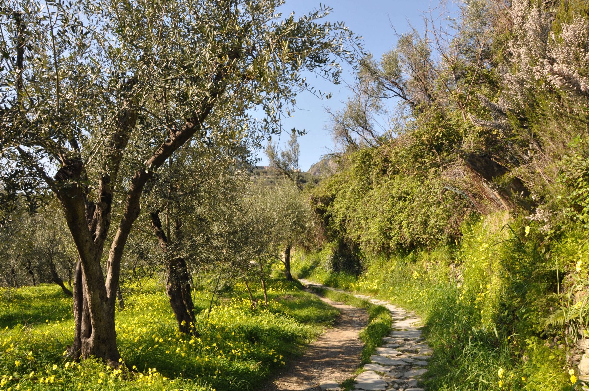 Hiking in the Cinque Terre