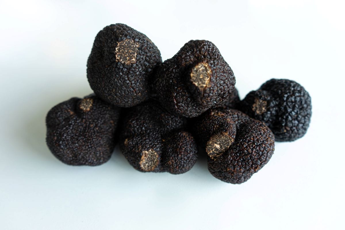 Black summer truffles in Italy. 