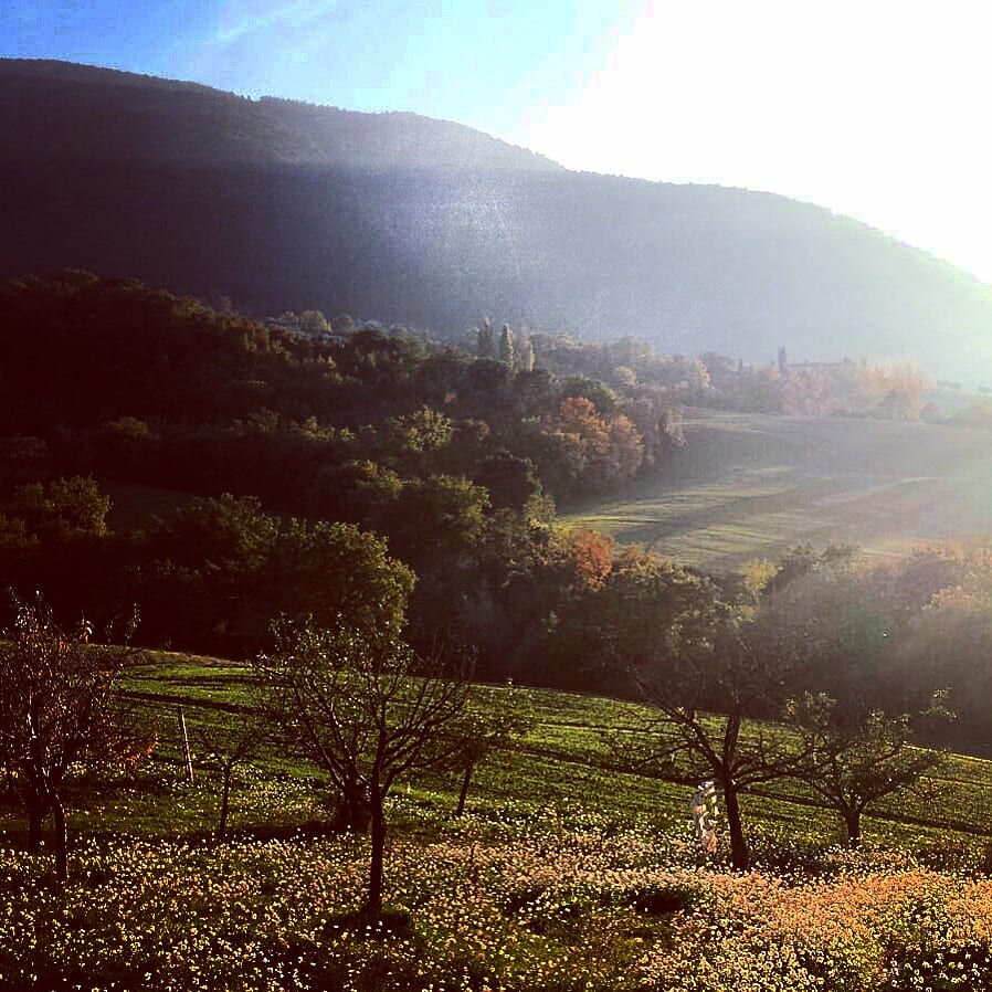 Umbria in Autumn, the view of Italian countryside in the central region in Italy, with trees, rolling hills and a blue sky, diffused by sunlight 