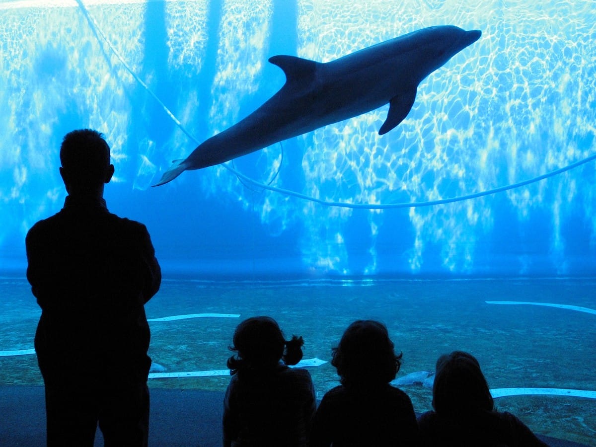 The Aquarium of Genoa is perfect when visiting Italy with kids