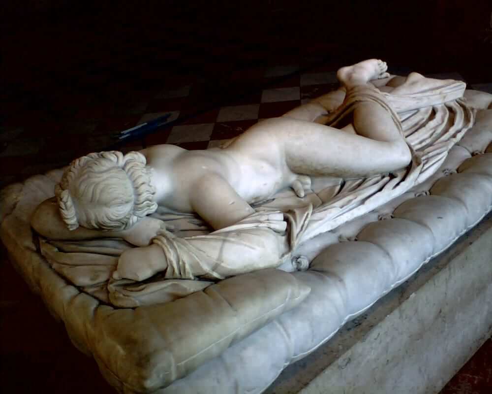 Hermaphroditus