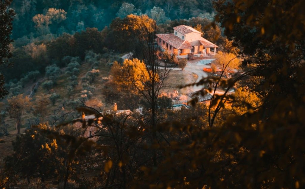 A quaint church being lit up with sunlight as seen through greenery.