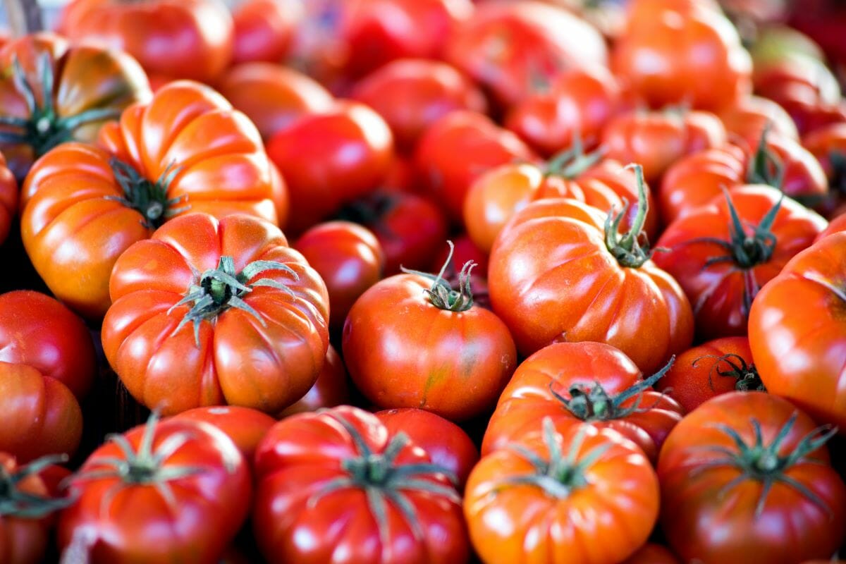 Tomatoes