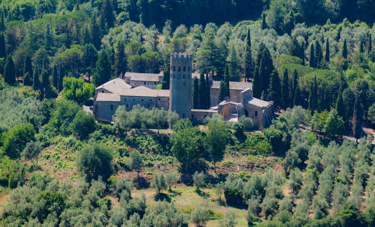 aerial view of city with woods and castle-like structure