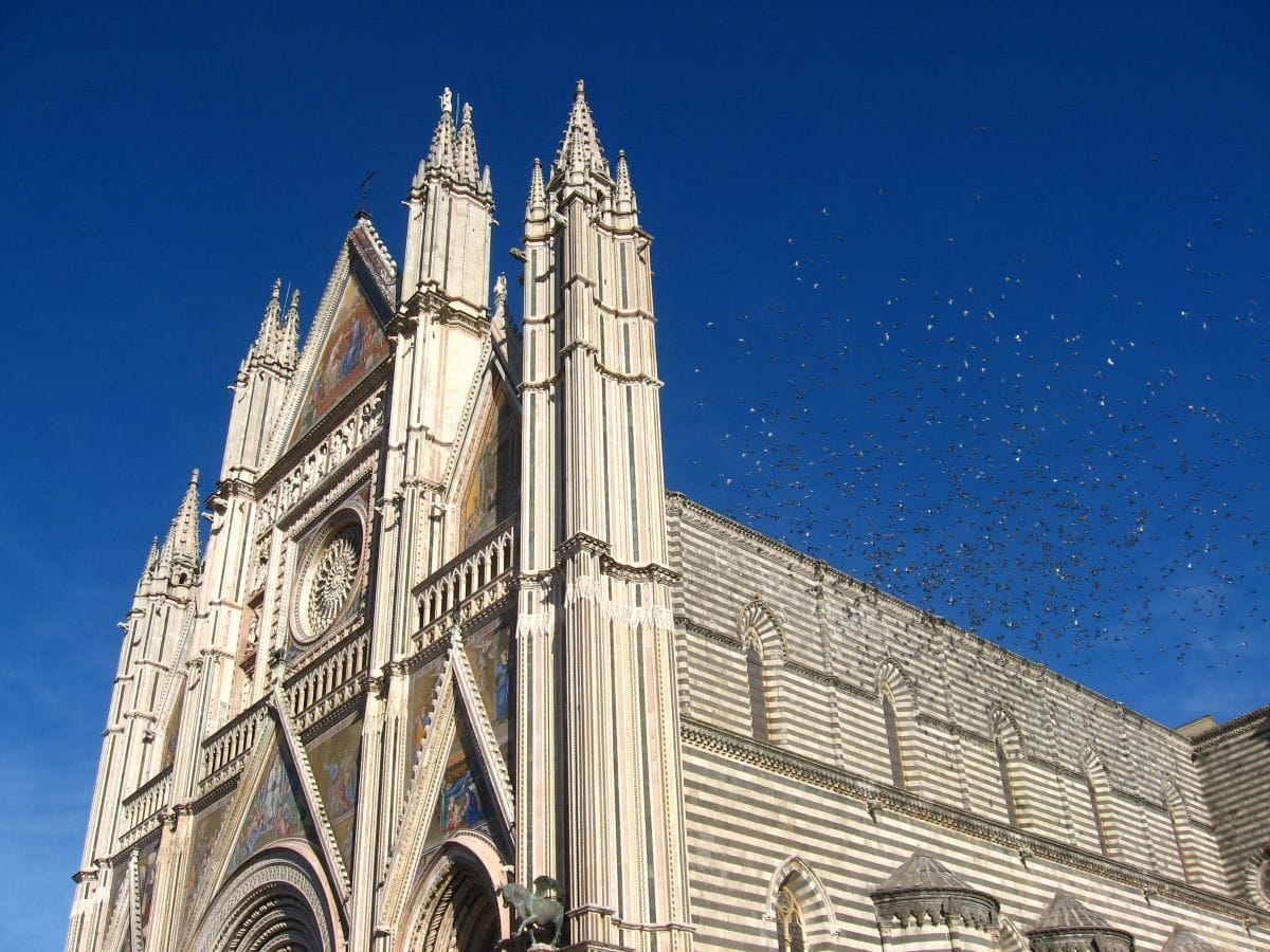 facade of church with birds flying nearby