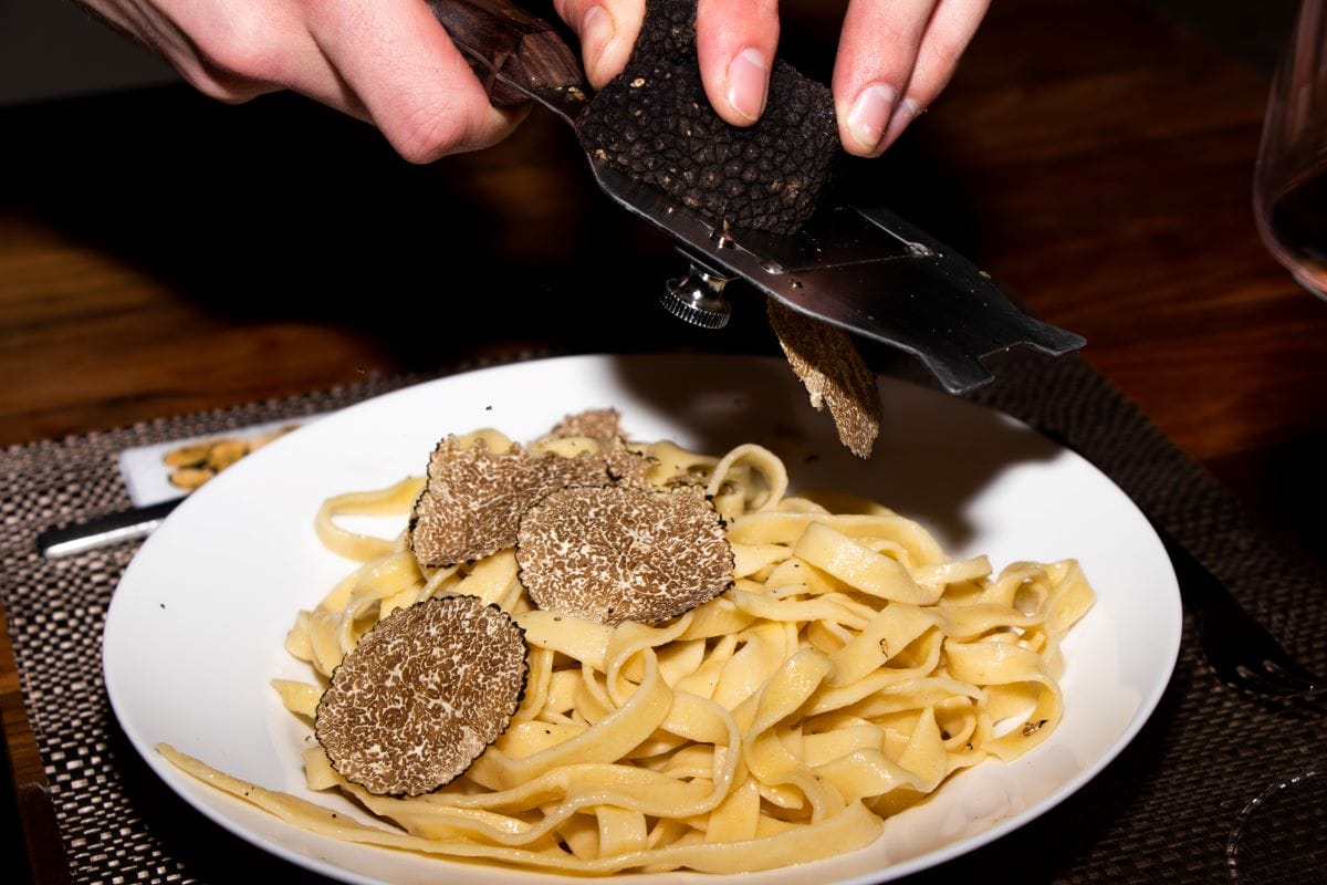 pasta with black truffle