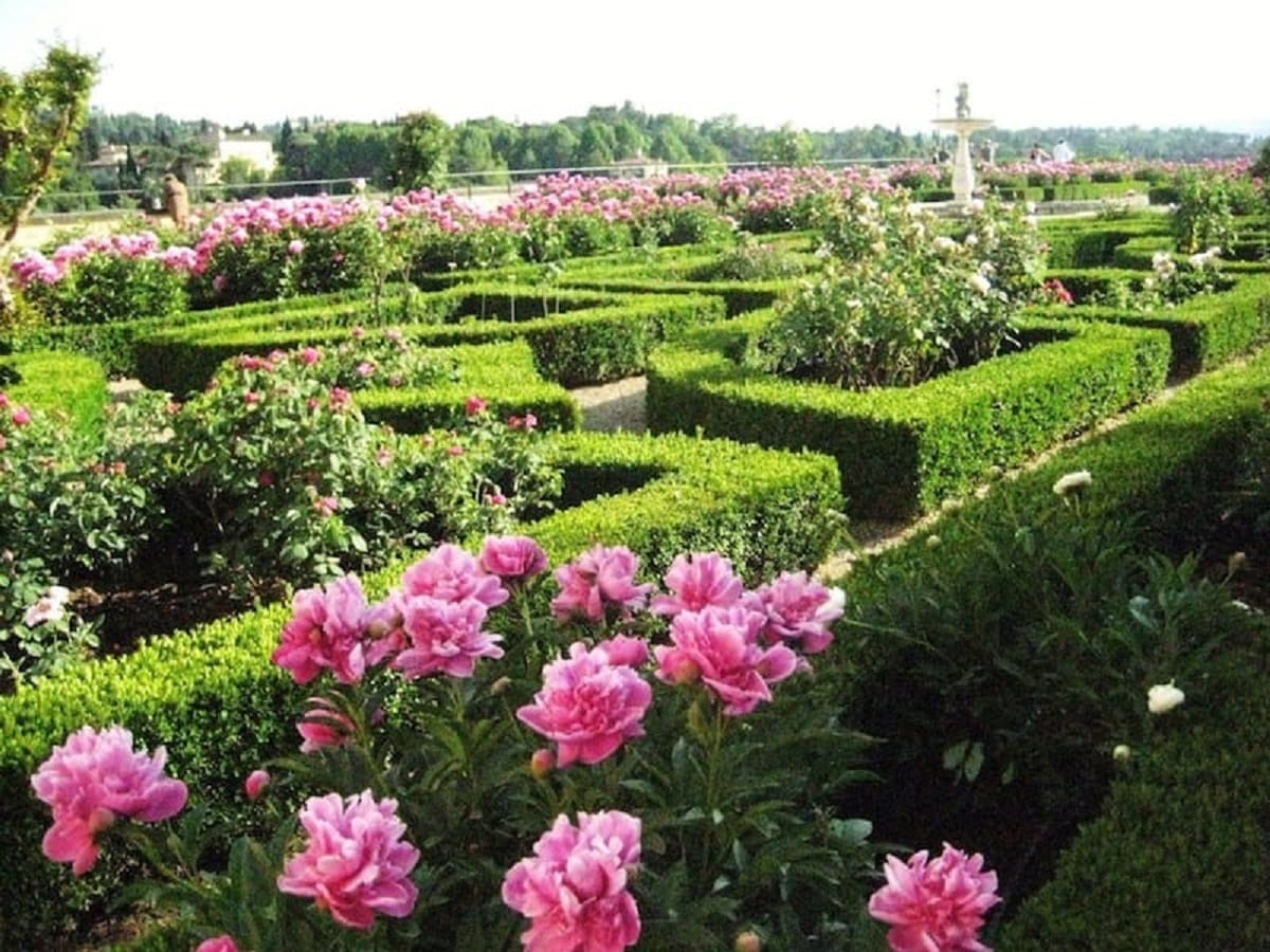 sculptured green garden with pink flowers