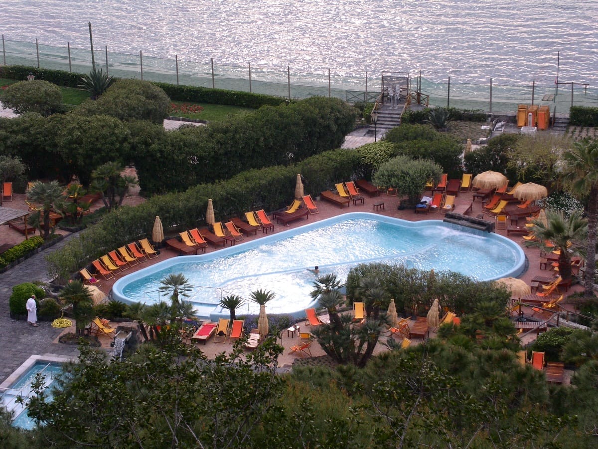 pool surrounded by lounge chairs and greenery