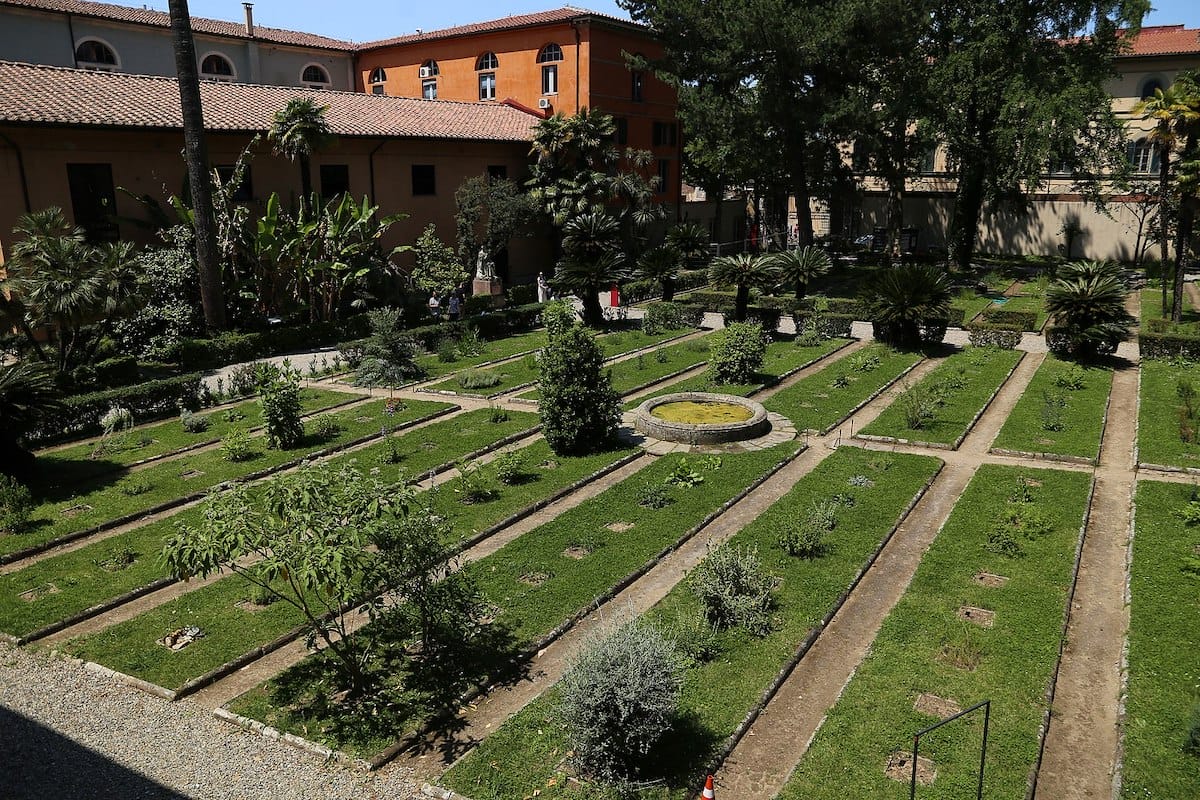 what do do in Pisa? visit the botanical gardens