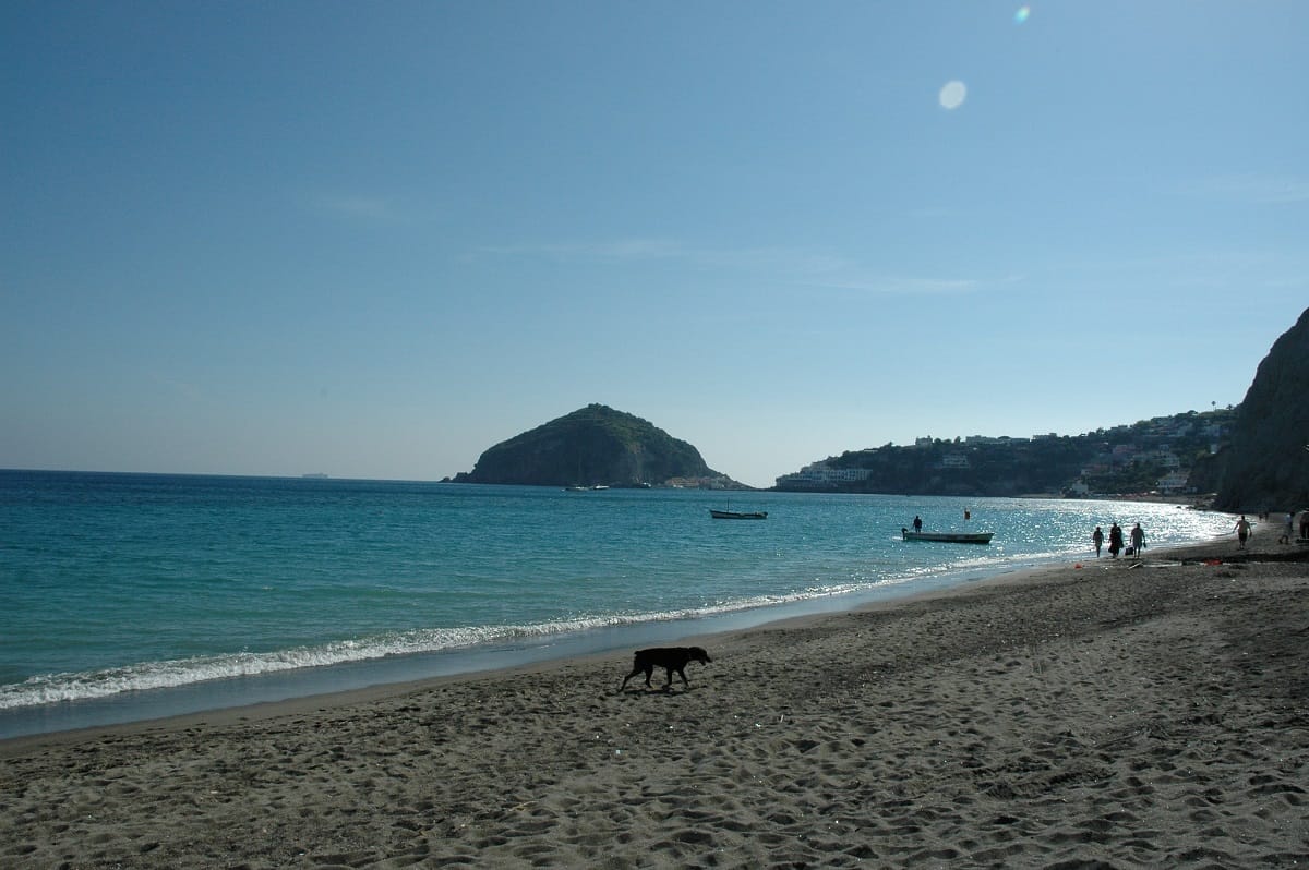 long stretch of beach at sunset