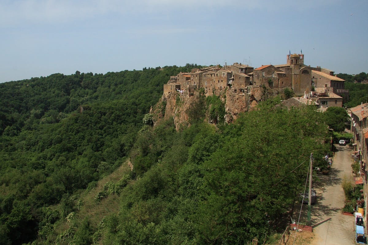 village town surrounded by greenery