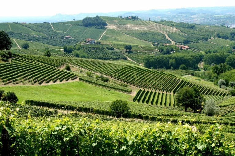 The Best of Lombardy Wines: Franciacorta, Nebbiolo & More